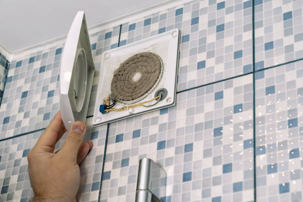 Best Air Duct Mold Removal  in Hawthorne, FL